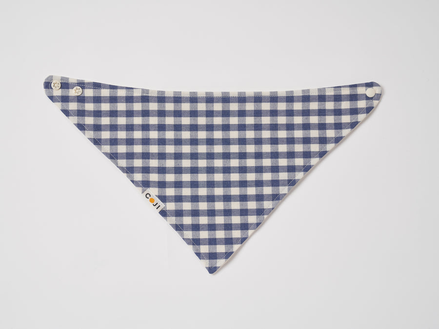 Gingham Bandana Bib